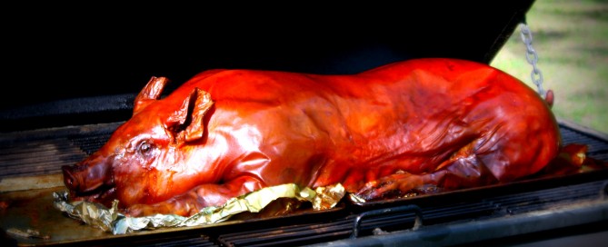 Pig roast on grill